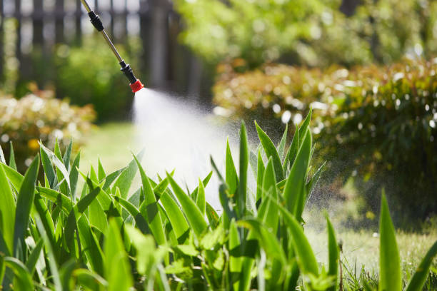 24/7 Emergency Cockroach Control experts in Quitman, MS