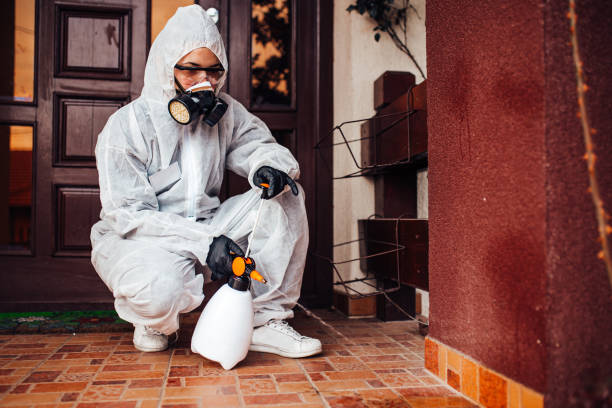 Reliable Cockroach Control contractor in Quitman, MS by Nex Pest Control